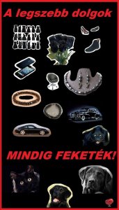 10514653_575566795895405_1275089544452455754_n