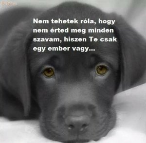 10635759_714395791965421_3251979641921524708_n