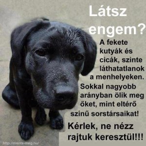 75903_579652865447292_543344206_n