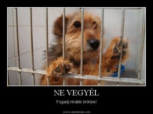 10246270_528314600620625_642757315_n