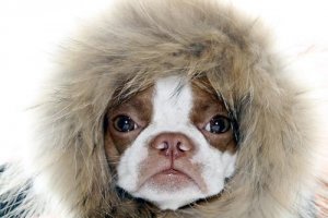 10556377_634514323333985_5636030253831515823_n