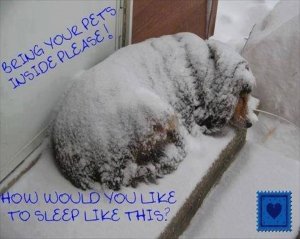 1230020_677094409001585_1761934907_n